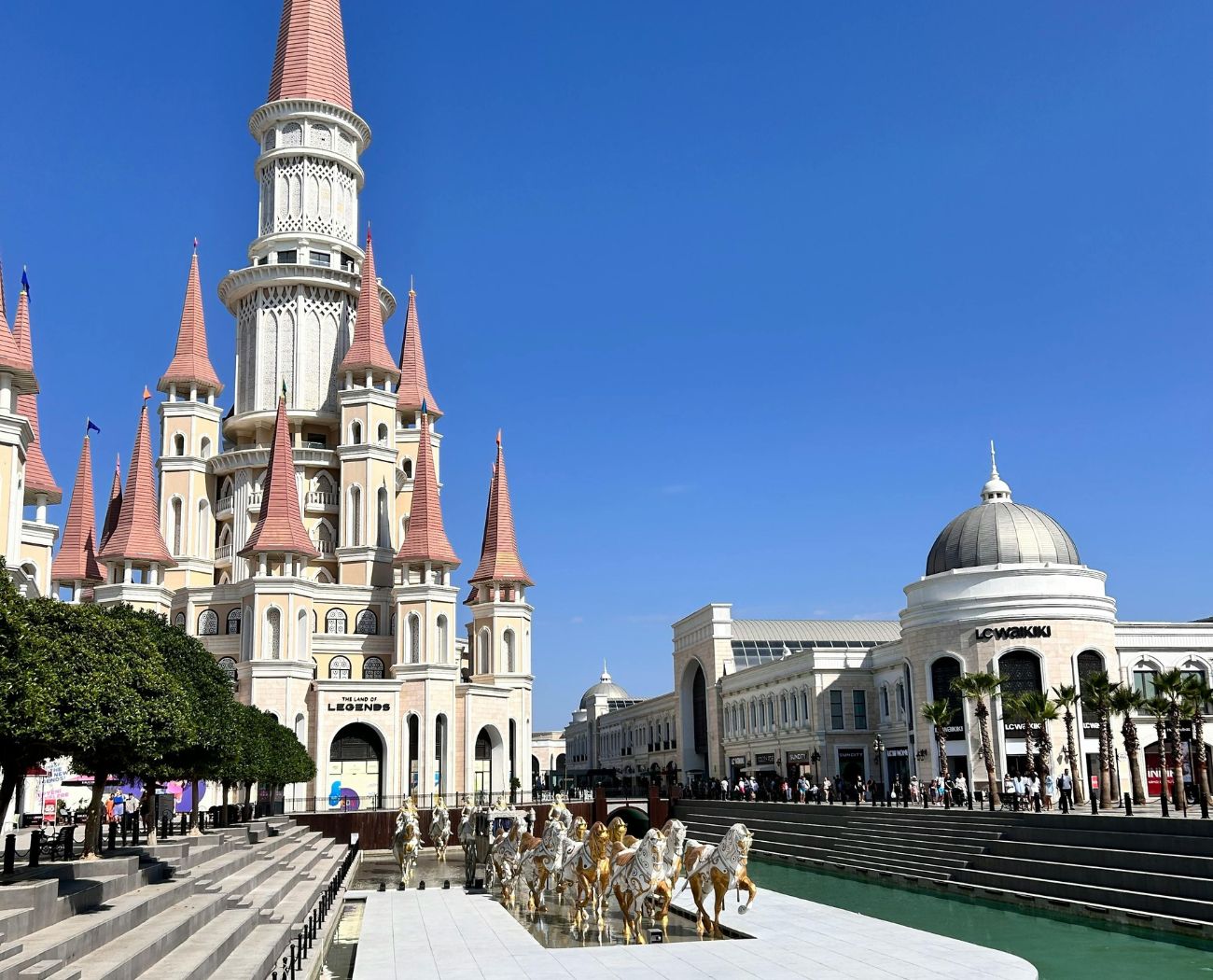 myoovi-cover-(1).jpg